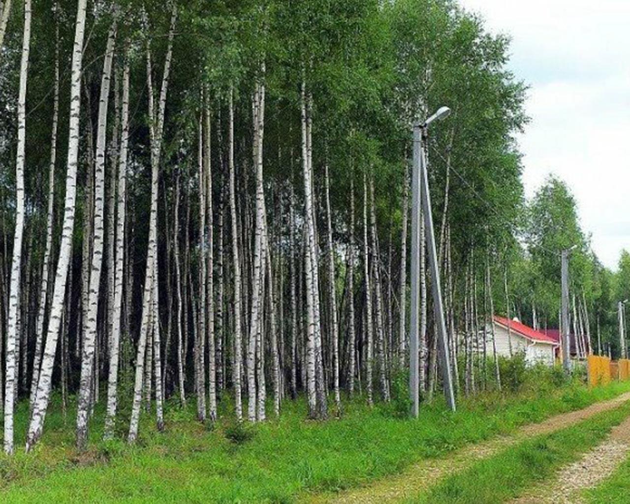 Купить Участок В Березки 3 Можайский