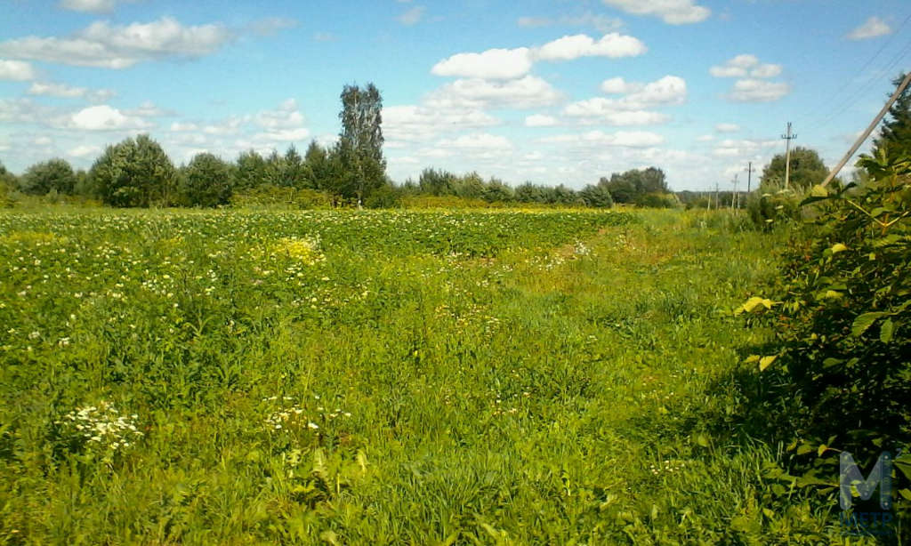 Купить Землю Ижс В Киришском Районе