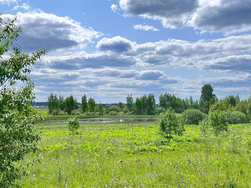 Купить земельный участок 340 соток, садовое товарищество Борисово, Можайский  район, Московская область, 3 000 000 руб., стоимость 8 824 руб.⁄сотка, в  105.3 км от МКАД, шоссе: Минское, Можайское, Новорижское, объявление  46287907